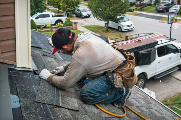 Professional Storm Damage Roof Repair technician working in Columbia, KY